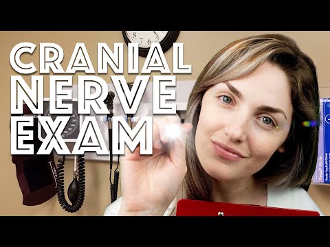 ASMR Cranial Nerve Exam (realistic roleplay examination, light triggers, personal attention)