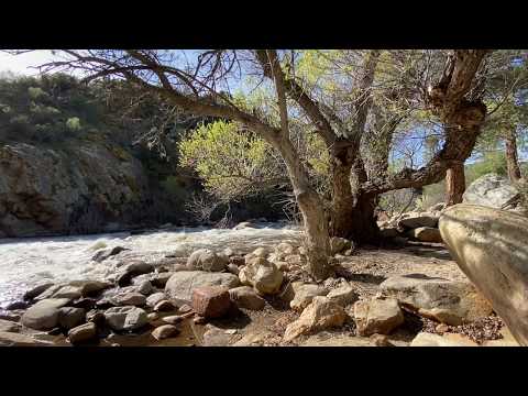 ASMR relaxing ambient mountain stream and nature sounds