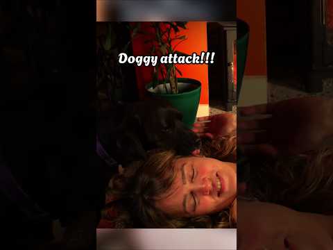 ASMR BTS #asmr #shorts #bts #bloopers #firesideasmr #fireasmr #dog #cutedoggy #funnypets #tracing