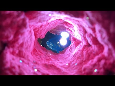 ASMR Ear Cleaning Role Play In Both Ears 👂🧼👩‍⚕️💤 (mouth sounds, light triggers, etc.)