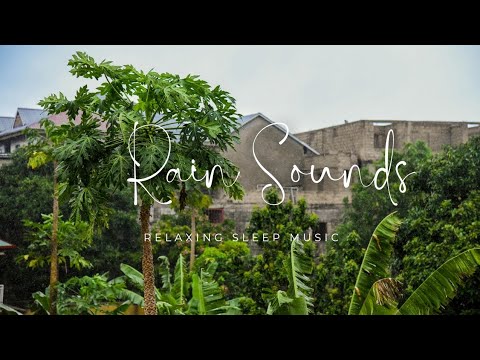 Gentle Rain in Africa 20 Minutes of Pure Relaxation & Sleep ASMR (No Talking) #RainASMR #ASMRKenya