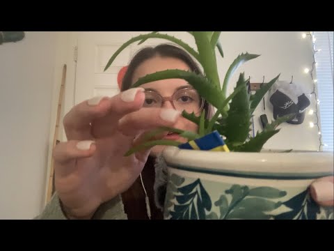 ASMR huge house plant haul🪴
