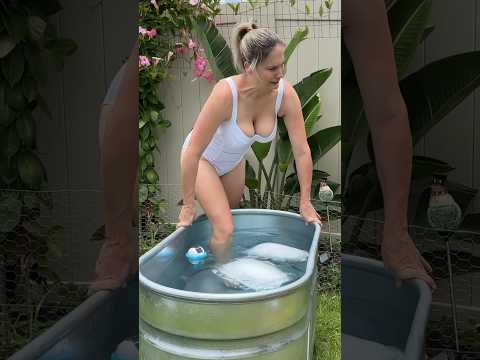 My First ICE Plunge 🥶#shorts #health #fatloss ?