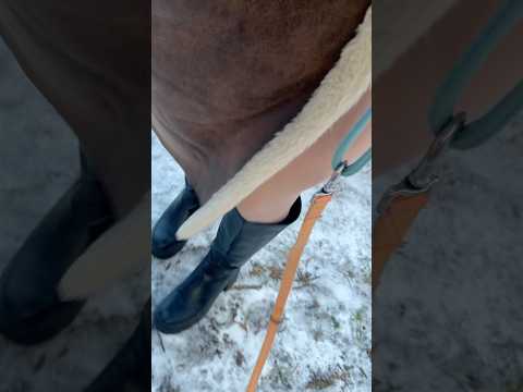 ASMR auf Eis mit einer beige Leggings nach dem Sport auf dem nach Hause Weg. 😎