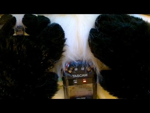 [Furry asmr] Petting your ears no talking