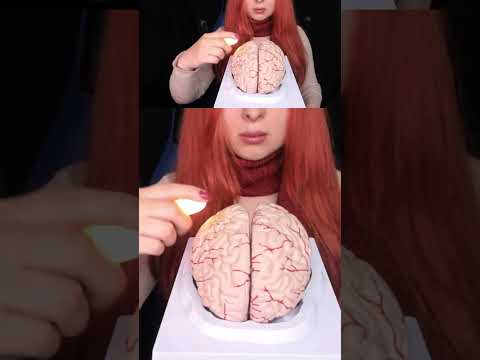 ASMR 🧠 BRAIN TINGLES WITH MAGIC FINGER #relaxingtriggers #asmr
