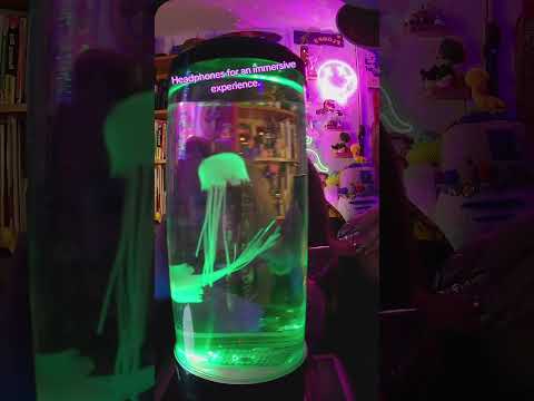 #asmr #binaural #asmrrelaxation #beach #sleep #triggers