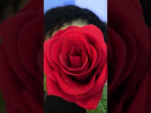 ASMR  Florzinha na tela