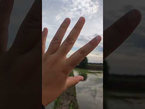 Mouth SOUNDS DI SAWAH #asmrvideo