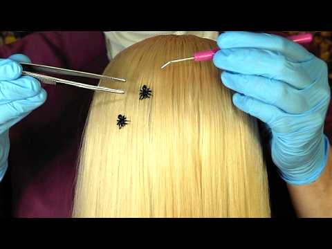 Lice Check & Bug Removal (Whispered)