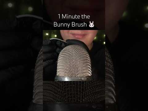 1 Minute the Bunny Brush!! 🐰🤍 #asmr
