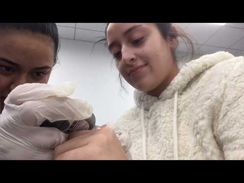 [Vlog] How to take someone’s glucose levels ft.friends