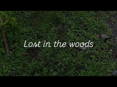 Asmr you got lost in the woods and kind girls finds you