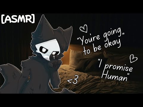 [Furry ASMR] Puro tries to comfort you after a nightmare :3 [Sleep-aid] [Soft-spoken] [Whispering]