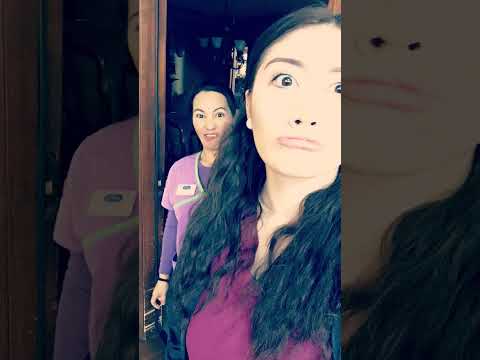 IM BUSY WORKING #shortsfeed #virakshorts #work #everyone #subscribe #viralvideo