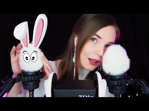 HEAVENLY EAR ASMR against TINGLE IMMUNITY - Quad Ear Cleaning & Massage