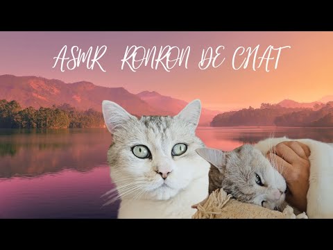 Asmr/ ronronnement de chat 🐱/ apaisant et destressant pour bien dormir