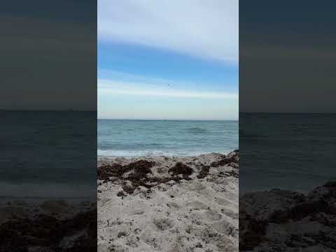 rate miami’s beach waves 1-10 🌊 #asmr #natureasmr