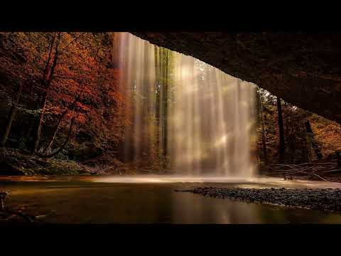 Peaceful Rain Sounds By A Waterfall In The Forest- Rain Sounds For Sleep & Meditation - 1 Hour