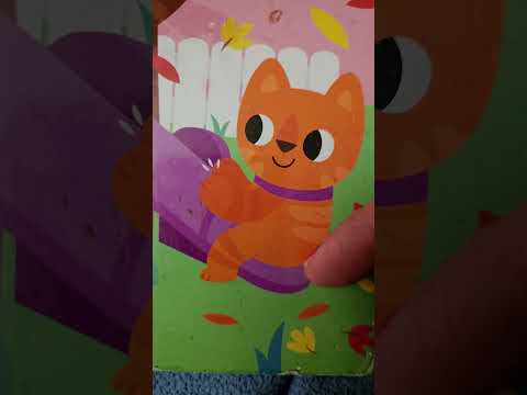 asmr tracing a cat 🐈