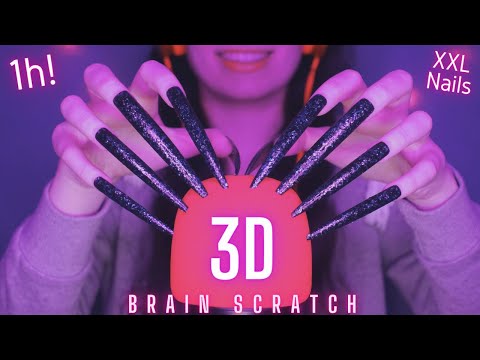 Asmr Mic Scratching - Brain Scratching | Brain Melting Asmr No Talking for Sleep with Long Nails 1H