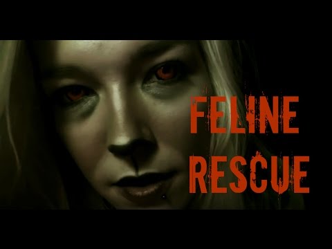 ☆★ASMR★☆ Jakkie | Feline Rescue