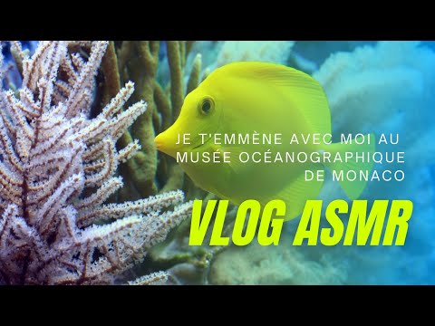 ASMR FR 🐟 Vlog Je t'emmène avec moi au Musée Océanographique de Monaco