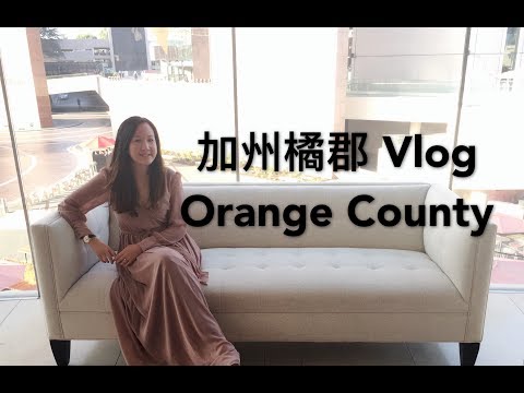 {中文ASMR} Weekend Vlog 加州式的婚禮？VR恐怖遊戲初體驗！