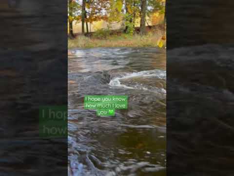 ASMR Nature & Water Sounds to Help You Sleep #shorts