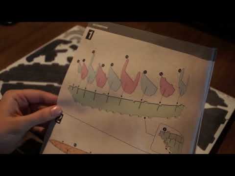 ASMR Crafting: Creating a Pirate Ship! Part 1 (whispering) (tapping)