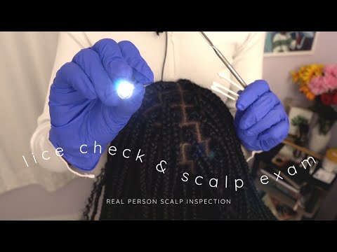 [ASMR] Real Person Lice Check on Box Braids | Scalp Exam & Treatment with Gloves 💆‍♀️