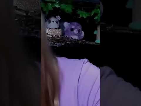 asmr inaudible mouth sounds