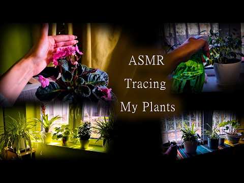 АСМР със Стайните ми Растения💚ASMR Tracing my Plants with Close Sensitive Whisper and Visuals🍀SPRING