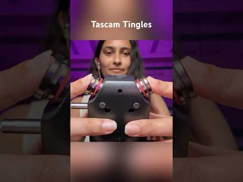 Crisp TASCAM TINGLES #ASMR #Relax #tingles #tascam
