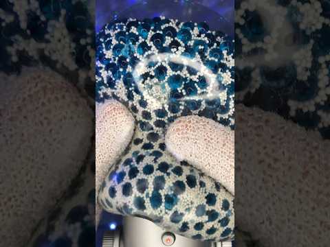12 Seconds Squishy Ball Sounds #asmr