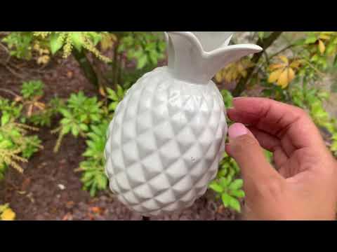ASMR OUTSIDE | (birds chirping, water fountain sounds, light wind, etc. + )