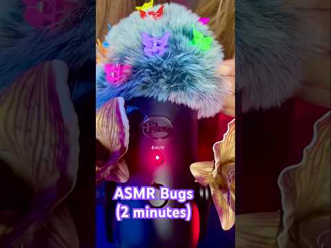 ASMR Searching for Bugs🦋 #asmr #shorts #asmrtriggers #asmrforsleep #asmrbugs