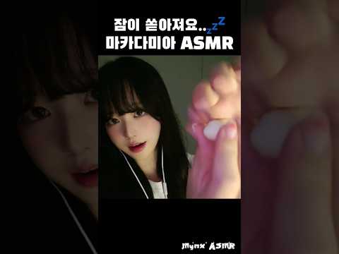 잠이 쏟아지는 마카다미아 ASMR💤