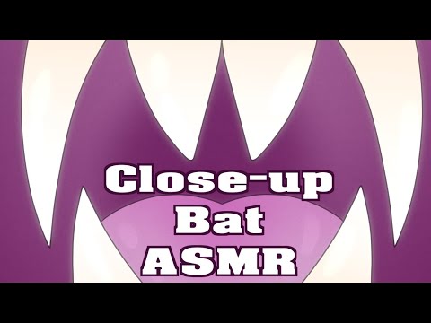 Close-up Bat ASMR #asmr #furries #bat #halloween #fangs