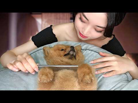 [ASMR] Sleep Inducing Dog Spa