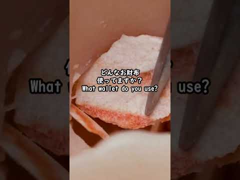 【質問❓️】あなたはどんなお財布使ってますか？ ASMR