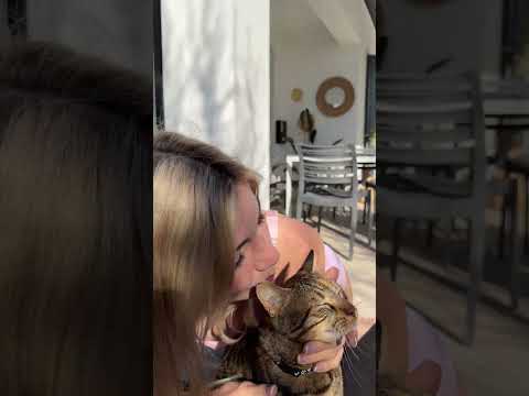 what? I was just kissing my kitty 🥰