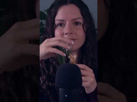 ASMR Intense Giraffe Foliage #asmr #asmrscratching #asmrmicscratching