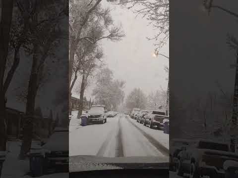 FIRST DAY OF SNOWFALL  IN DENVER CO.#shortsfeed #snow #driving #denver #everyone #viralshorts