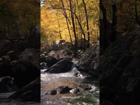 Stay with me for a while #relaxation #calm #peaceful #soothingmusic #soothingrelaxation