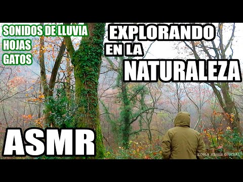 ASMR | 🏔️ Explorando en la NATURALEZA 🌄