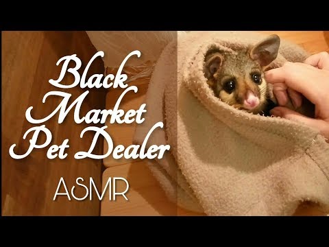 ASMR Black Market Pet Dealer Role Play