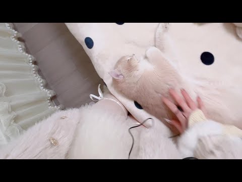 Nail Scratching & Tapping on Cute Items | ASMR Sleep Inducer