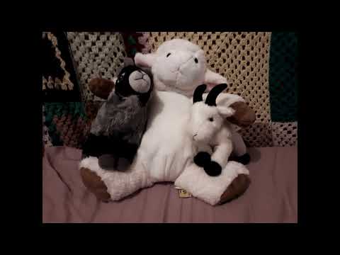 Brushing and soft crinkles asmr