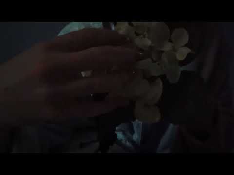 ASMR - Rare Triggers